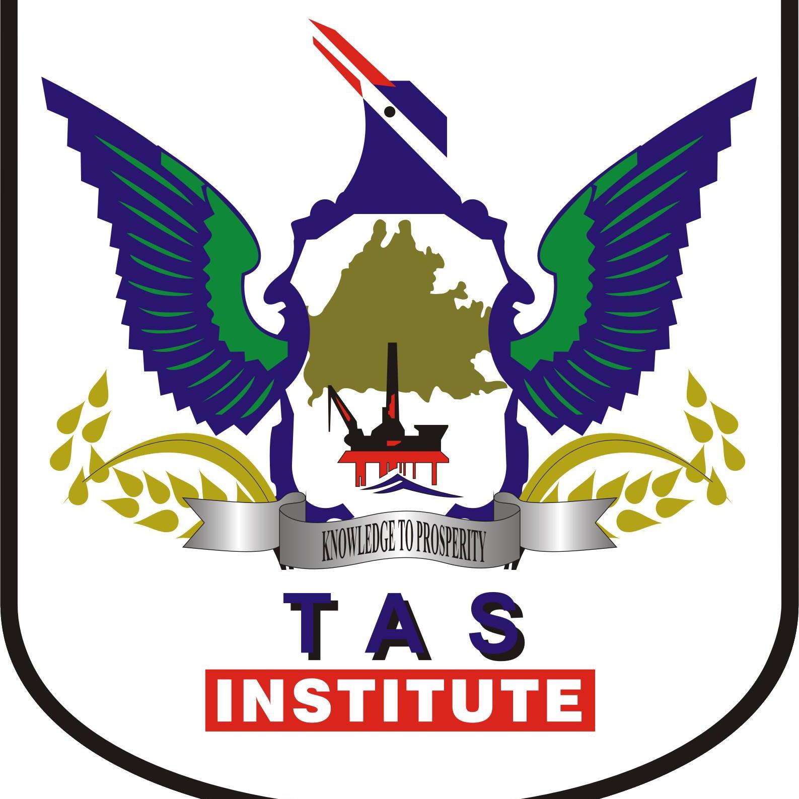 Tas Institue Of Oil & Gas